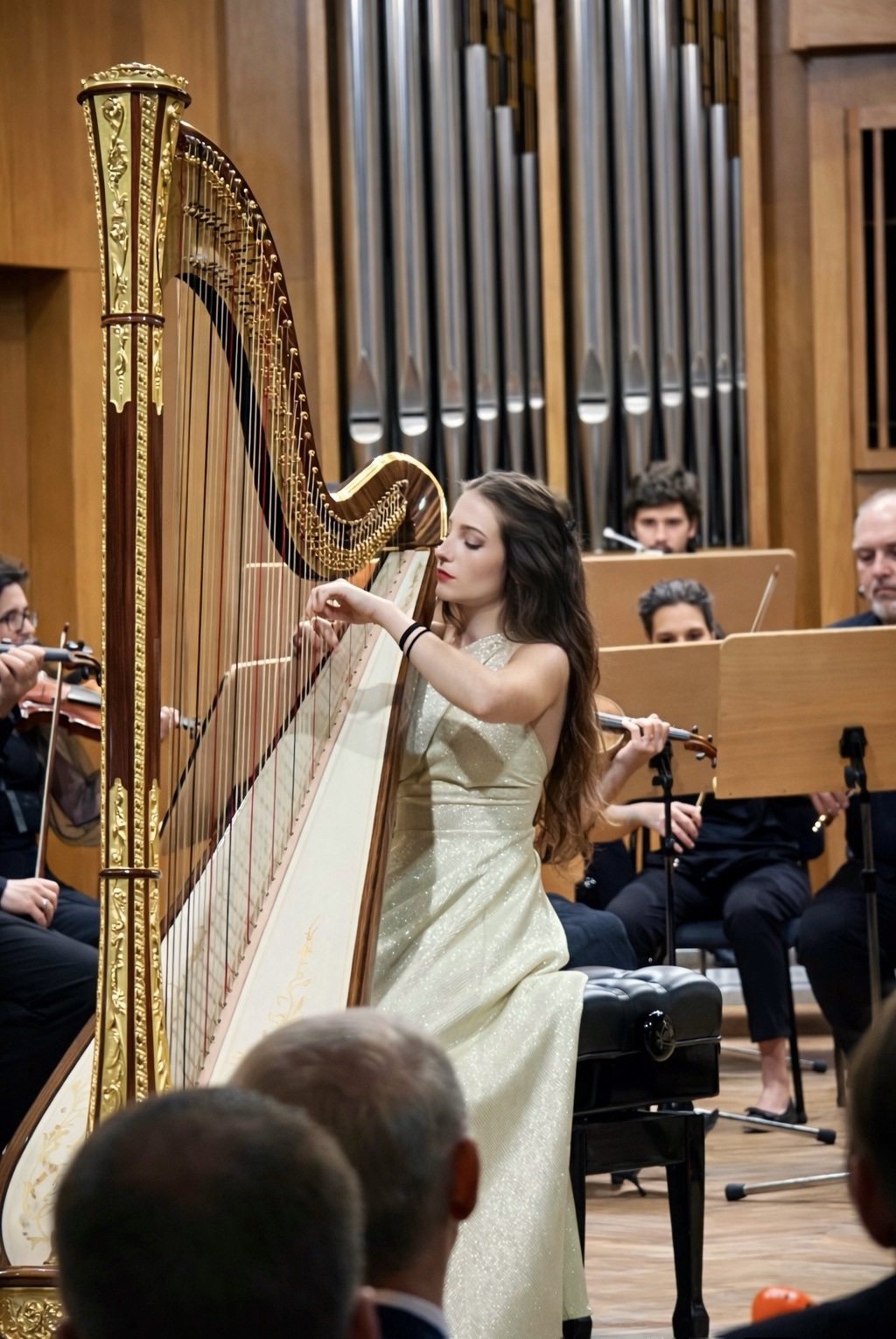 Инструменти-шедьоври: Представяне на златната арфа на НМА "Проф. Панчо Владигеров"